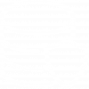 Data Protection Icon